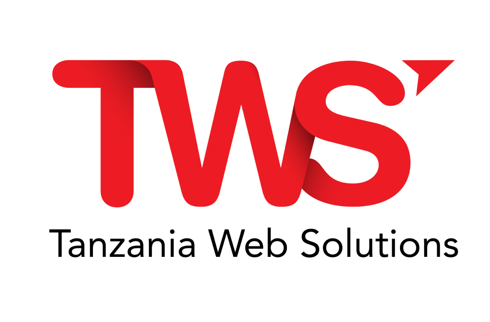 Tanzania Web Solutions
